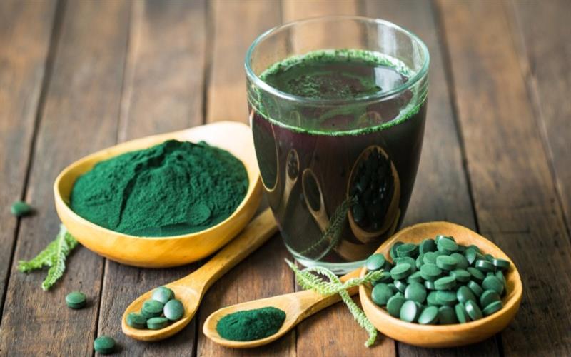 SPIRULINA – The Protein Powerhouse from Nature