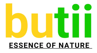 Butii Logo